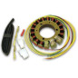 ELECTREX UZWOJENIE ALTERNATORA STATOR HONDA TRX400EX SPORTRAX '99-'08, XL600LM/RM '85-'89, XBR500 '85-'88 (115X54X18 MM) ELECTREX UZWOJENIE ALTERNATORA STATOR HONDA TRX400EX SPORTRAX '99-'08, XL600LM/RM '85-'89, XBR500 '85-'88 (115X54X18 MM)