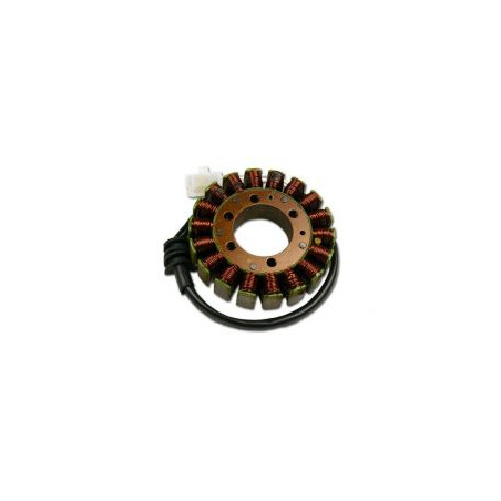 ELECTREX UZWOJENIE ALTERNATORA STATOR SUZUKI YAMAHA YZF 600 THUNDERCAT, R6