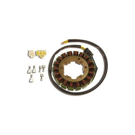 ELECTREX UZWOJENIE ALTERNATORA (STATOR) HONDA CBR 900 RR '00-'01, CBR 929 '00-'01, FJS 600 SILVERWING '01-'10