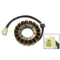 ELECTREX UZWOJENIE ALTERNATORA (STATOR) DUCATI 749 '03-'06, 999 '03-'06, 1098 '07-'09, 1198 '09-'10 (115X54X18 MM)