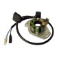 ELECTREX UZWOJENIE ALTERNATORA (STATOR) HONDA CR 250 '92-'96 (KOMPLET) ELECTREX UZWOJENIE ALTERNATORA (STATOR) HONDA CR 250 '92-'96 (KOMPLET)