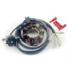 ELECTREX UZWOJENIE ALTERNATORA (STATOR) ZE ŚWIATŁAMI HONDA CRF 450 '02-'09, CRF 250 '04-'09 (CRF250R,CRF450R)