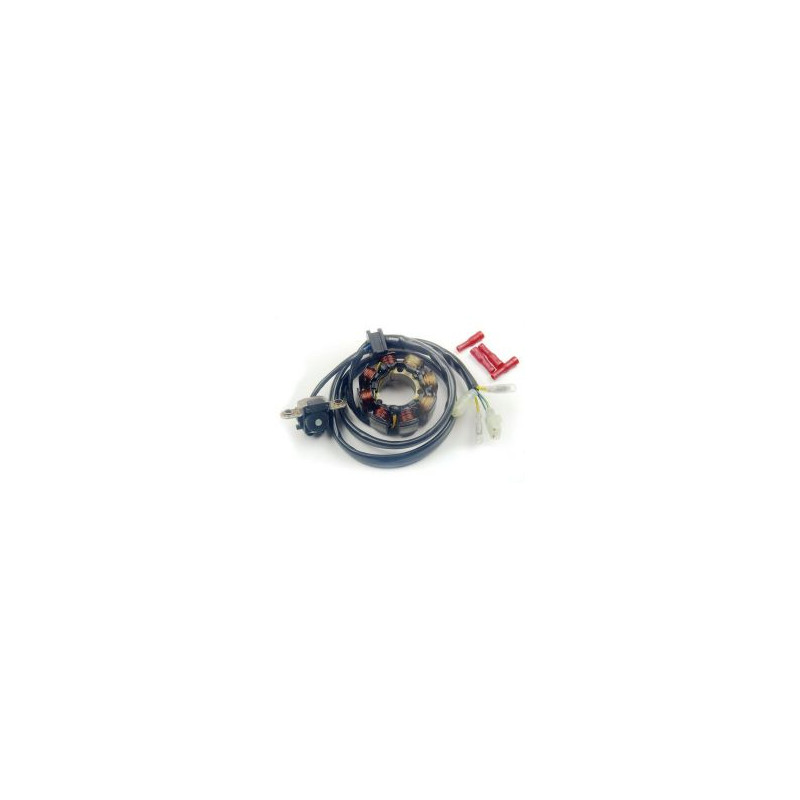 ELECTREX UZWOJENIE ALTERNATORA (STATOR) ZE ŚWIATŁAMI HONDA CRF 450 '02-'09, CRF 250 '04-'09 (CRF250R,CRF450R) ELECTREX UZWOJENIE ALTERNATORA (STATOR) ZE ŚWIATŁAMI HONDA CRF 450 '02-'09, CRF 250 '04-'09 (CRF250R,CRF450R)
