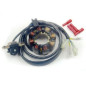 ELECTREX UZWOJENIE ALTERNATORA (STATOR) ZE ŚWIATŁAMI HONDA CRF 450 '02-'09, CRF 250 '04-'09 (CRF250R,CRF450R) ELECTREX UZWOJENIE ALTERNATORA (STATOR) ZE ŚWIATŁAMI HONDA CRF 450 '02-'09, CRF 250 '04-'09 (CRF250R,CRF450R)