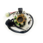 ELECTREX UZWOJENIE ALTERNATORA (STATOR) SUZUKI RM 250 01-08 KOMPLETNY ( Z KABLAMI I IMPULSATOREM) ELECTREX UZWOJENIE ALTERNATORA (STATOR) SUZUKI RM 250 01-08 KOMPLETNY ( Z KABLAMI I IMPULSATOREM)
