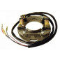 ELECTREX UZWOJENIE ALTERNATORA STATOR SUZUKI RM80 '77-'85, RM125 '75-'88, RM100 '76-'81 ELECTREX UZWOJENIE ALTERNATORA STATOR SUZUKI RM80 '77-'85, RM125 '75-'88, RM100 '76-'81