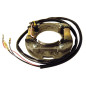 ELECTREX UZWOJENIE ALTERNATORA (STATOR) SUZUKI RM80 '86-'01, RM85 '02-'12, KOMPLETNY ELECTREX UZWOJENIE ALTERNATORA (STATOR) SUZUKI RM80 '86-'01, RM85 '02-'12, KOMPLETNY