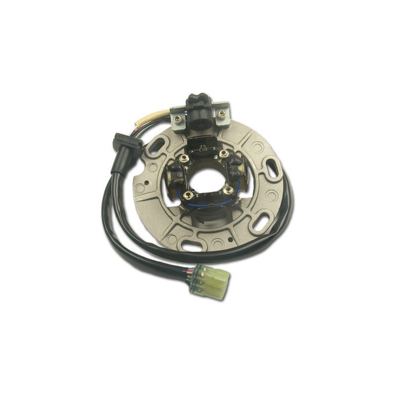 ELECTREX UZWOJENIE ALTERNATORA (STATOR) YAMAHA YZ 250 '96-'99 ELECTREX UZWOJENIE ALTERNATORA (STATOR) YAMAHA YZ 250 '96-'99