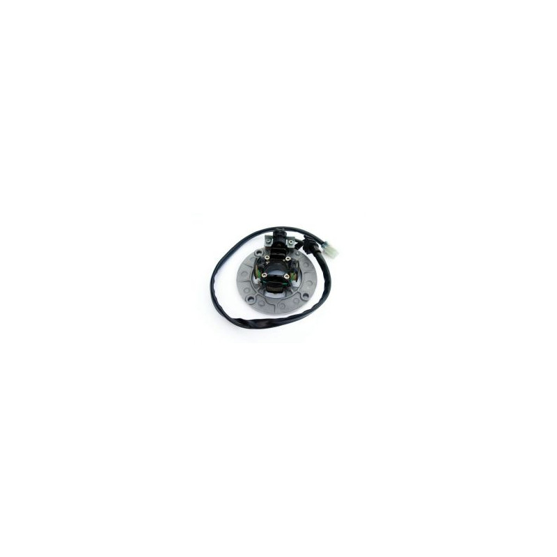 ELECTREX UZWOJENIE ALTERNATORA (STATOR) YAMAHA YZF250 '01-'11, YZF400/426 '98-'02, YZF450 ELECTREX UZWOJENIE ALTERNATORA (STATOR) YAMAHA YZF250 '01-'11, YZF400/426 '98-'02, YZF450