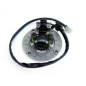 ELECTREX UZWOJENIE ALTERNATORA (STATOR) YAMAHA YZF250 '01-'11, YZF400/426 '98-'02, YZF450 ELECTREX UZWOJENIE ALTERNATORA (STATOR) YAMAHA YZF250 '01-'11, YZF400/426 '98-'02, YZF450
