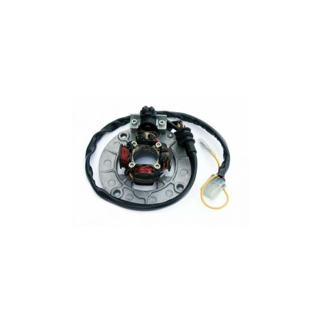 ELECTREX UZWOJENIE ALTERNATORA (STATOR) ZE ŚWIATŁAMI YAMAHA YZF250 '04-,YZF400/426/450 '98-'05 (KOMPLET)