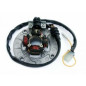 ELECTREX UZWOJENIE ALTERNATORA (STATOR) ZE ŚWIATŁAMI YAMAHA YZF250 '04-,YZF400/426/450 '98-'05 (KOMPLET)