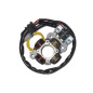 ELECTREX UZWOJENIE ALTERNATORA (STATOR) ZE ŚWIATŁAMI YAMAHA YZF 450 '06-'09 (YZF450,YZ450F) ELECTREX UZWOJENIE ALTERNATORA (STATOR) ZE ŚWIATŁAMI YAMAHA YZF 450 '06-'09 (YZF450,YZ450F)