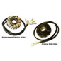 ELECTREX UZWOJENIE ALTERNATORA (STATOR) ZE ŚWIATŁAMI HUSABERG 98-03, KTM (STARE MODELE) ELECTREX UZWOJENIE ALTERNATORA (STATOR) ZE ŚWIATŁAMI HUSABERG 98-03, KTM (STARE MODELE)