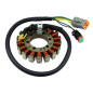 SPI SNOW UZWOJENIE ALTERNATORA STATOR SNOW SKI-DOO (SKUTER ŚNIEŻNY) - PATRZ ZDJĘCIE SPI SNOW UZWOJENIE ALTERNATORA STATOR SNOW SKI-DOO (SKUTER ŚNIEŻNY) - PATRZ ZDJĘCIE