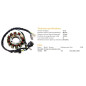 DZE UZWOJENIE ALTERNATORA (STATOR) YAMAHA YBR 125 '02-'05