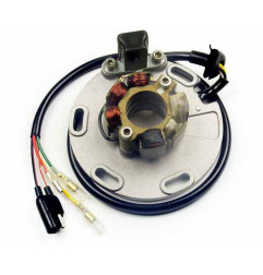 ELECTREX UZWOJENIE ALTERNATORA STATOR SUZUKI RM 125 / 250 '94-'96 - NA ZAMÓWIENIE