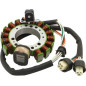 DZE UZWOJENIE ALTERNATORA (STATOR) YAMAHA YFM 350 BIG BEAR '89-'94; WARRIOR '87-'95 (ESG432) (OEM-3HN-85510-20-00)