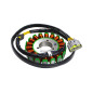 STATOR SFA1000 SFA600 STATOR SFA1000 SFA600
