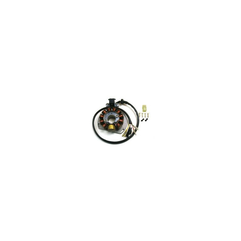 ELECTREX UZWOJENIE ALTERNATORA STATOR KTM EXC 125/200/300/380, EGS 125/200 '98-'00 (84X29X14 MM), GAS GAS ELECTREX UZWOJENIE ALTERNATORA STATOR KTM EXC 125/200/300/380, EGS 125/200 '98-'00 (84X29X14 MM), GAS GAS