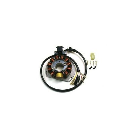 ELECTREX UZWOJENIE ALTERNATORA STATOR KTM EXC 125/200/300/380, EGS 125/200 '98-'00 (84X29X14 MM), GAS GAS