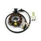ELECTREX UZWOJENIE ALTERNATORA STATOR KTM EXC 125/200/300/380, EGS 125/200 '98-'00 (84X29X14 MM), GAS GAS ELECTREX UZWOJENIE ALTERNATORA STATOR KTM EXC 125/200/300/380, EGS 125/200 '98-'00 (84X29X14 MM), GAS GAS