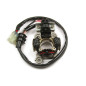 ELECTREX UZWOJENIE ALTERNATORA (STATOR) YAMAHA YZF 450 '06-'09 (YZF450,YZ450F) ELECTREX UZWOJENIE ALTERNATORA (STATOR) YAMAHA YZF 450 '06-'09 (YZF450,YZ450F)