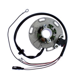 ELECTREX UZWOJENIE ALTERNATORA (STATOR) TM125/250 '00-, TM85 '02