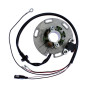 ELECTREX UZWOJENIE ALTERNATORA (STATOR) TM125/250 '00-, TM85 '02 ELECTREX UZWOJENIE ALTERNATORA (STATOR) TM125/250 '00-, TM85 '02