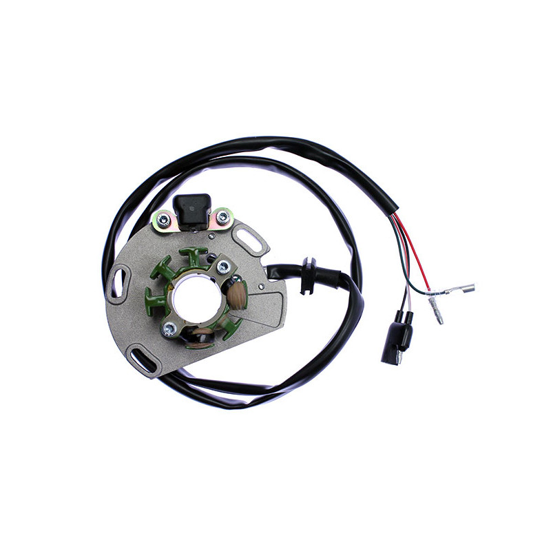 ELECTREX UZWOJENIE ALTERNATORA (STATOR) GAS GAS EC 125, EC250 ELECTREX UZWOJENIE ALTERNATORA (STATOR) GAS GAS EC 125, EC250