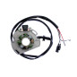ELECTREX UZWOJENIE ALTERNATORA (STATOR) GAS GAS EC 125, EC250 ELECTREX UZWOJENIE ALTERNATORA (STATOR) GAS GAS EC 125, EC250