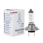 ŻARÓWKA HALOGENOWA M-TECH H7 12V 55W PX26D ŻARÓWKA HALOGENOWA M-TECH H7 12V 55W PX26D