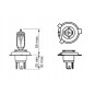 BOSCH ŻARÓWKA HS1 35/35W 12V PX43T BOSCH ŻARÓWKA HS1 35/35W 12V PX43T