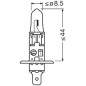 OSRAM ŻARÓWKA H1 12V 55W, P14.5S - 1 SZTUKA