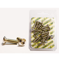 CC ŚRUBY TARCZY HAMULCOWEJ STOŻKOWE M6/18MM (20SZT.) TORX T-30;10,9 HRC (1083-11) (CC PRODUCTS)