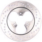 MTX PARTS TARCZA HAMULCOWA TYŁ HONDA TRX 300 '93-'09 (220X58X4MM) (3X8,5MM)
