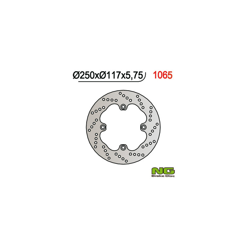 NG TARCZA HAMULCOWA TYŁ SUZUKI AN 650 BURGMAN '02-'03 (250X117X5,7) (4X10,5MM)