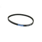ATHENA PASEK NAPĘDOWY (16,8x8x795) APRILIA SONIC 50 '98-'08, YAMAHA JOG 50, MBK, MALAGUTI F10 50 ATHENA PASEK NAPĘDOWY (16,8x8x795) APRILIA SONIC 50 '98-'08, YAMAHA JOG 50, MBK, MALAGUTI F10 50