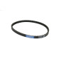 ATHENA PASEK NAPĘDOWY (16,8x8x795) APRILIA SONIC 50 '98-'08, YAMAHA JOG 50, MBK, MALAGUTI F10 50 ATHENA PASEK NAPĘDOWY (16,8x8x795) APRILIA SONIC 50 '98-'08, YAMAHA JOG 50, MBK, MALAGUTI F10 50