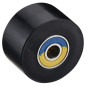ACCEL ROLKA ŁAŃCUCHA Z ŁOŻYSKAMI ŚR. 42MM (42X23,5MM) (79-5007) ACCEL ROLKA ŁAŃCUCHA Z ŁOŻYSKAMI ŚR. 42MM (42X23,5MM) (79-5007)