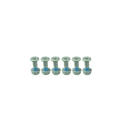 SCAR RACING ŚRUBY ZĘBATKI TYLNEJ M8X26MM TORX