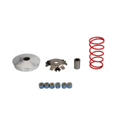 WARIATOR TUNINGOWY KYMCO S9/VIT50/AGILITY50  HONDA DIO 50 14 MM POWER FORCE