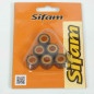 SIFAM ROLKI WARIATORA 17X12MM 6G SIFAM ROLKI WARIATORA 17X12MM 6G