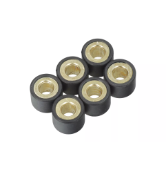Rolki wariatora Magneti Marelli 6 sztuk 18x14 14g