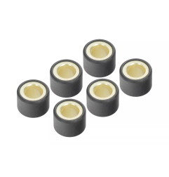 Rolki wariatora Magneti Marelli 6 sztuk 24x18 31g Suzuki 250 AN 98-06