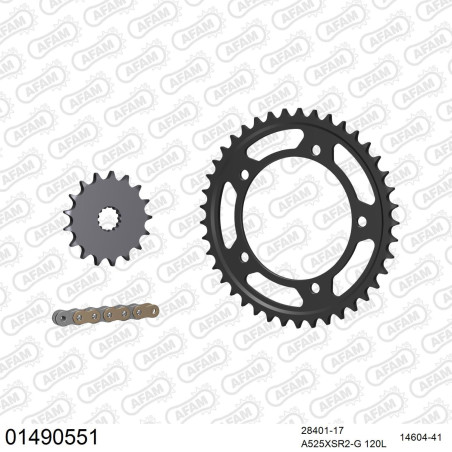 AFAM 2026/04 ZESTAW NAPĘDOWY SUZUKI DL 1050 V-STROM 2020-2022 (28401-17, 14604-41, A525XSR2-G 120L) KOLOR ZŁOTY