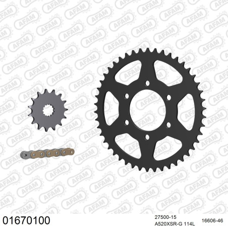 AFAM 2026/04 ZESTAW NAPĘDOWY KAWASAKI ER 6 N 2006-2016 (27500-15, 16606-46, A520XSR-G 114L) KOLOR ZŁOTY