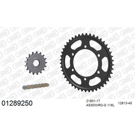 AFAM Zestaw napędowy (stal) YAMAHA YZF 1000 R1 2004-2005 (łańcuch A530XHR2-G 116L, zębatki 17, 45)