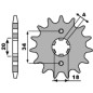 PBR ZĘBATKA PRZEDNIA 259 15 18NC XL 125 (ŁAŃC. 428) (MADE IN ITALY)