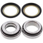 ALL BALLS ŁOŻYSKA GŁÓWKI RAMY Z USZCZELNIACZAMI YAMAHA FZ 600 '86-'88, SRX 600 (86), XJ 650 '80-'83, XJ 750 ALL BALLS ŁOŻYSKA GŁÓWKI RAMY Z USZCZELNIACZAMI YAMAHA FZ 600 '86-'88, SRX 600 (86), XJ 650 '80-'83, XJ 750